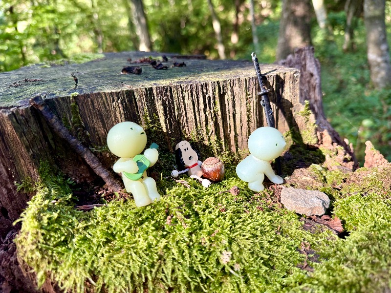 今朝も文殊山を歩いて応援！