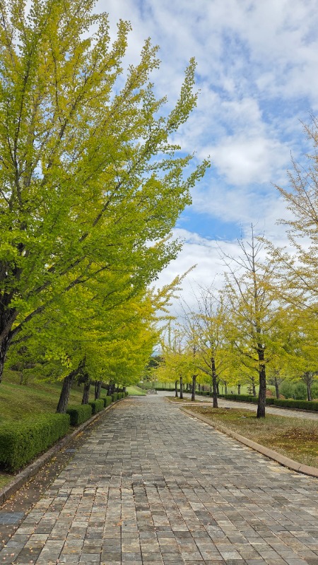 お空のヒーローを思いながら走りました。目指せドイツ