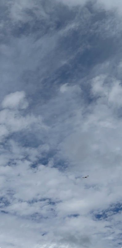 よく見ると写真のなかにトンボがいます☺️