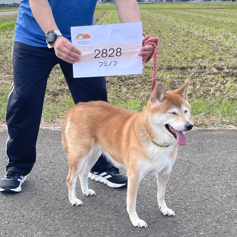 10/13-19 愛犬と一緒に