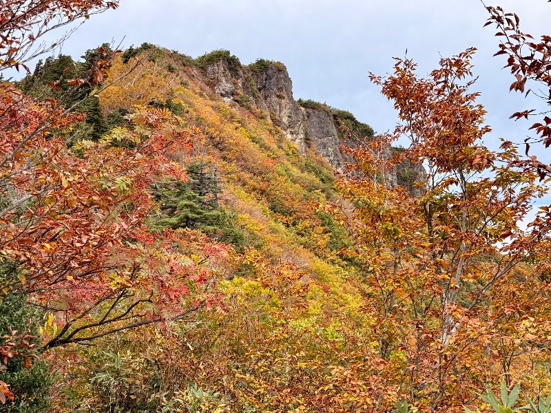 錦秋の山歩きで応援します！