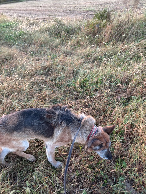 おはようございます。走行会まであと1日ですね。今日も一日楽しく😃