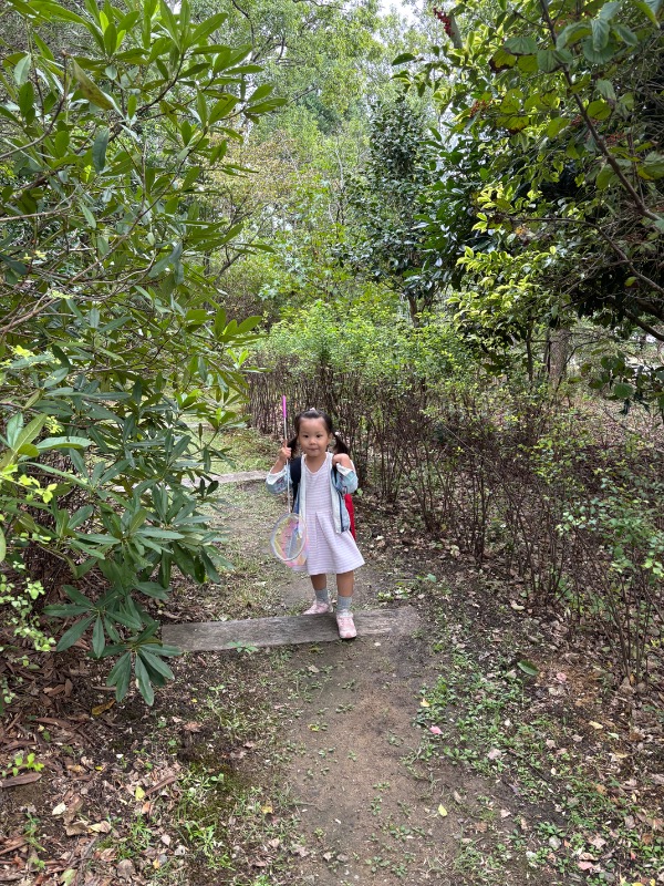 おともだちとむしとりしながらあるきました！