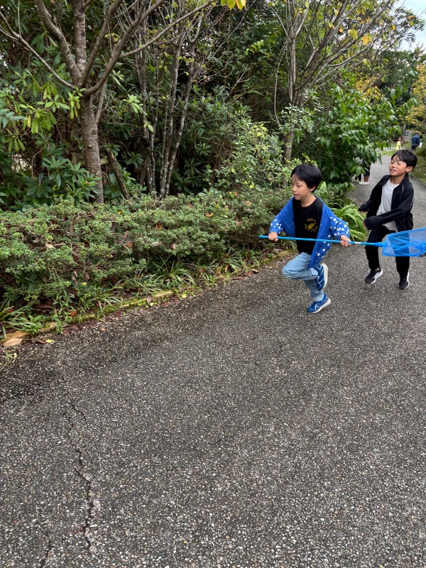 友達と虫取りしながら、歩いたり走ったりしました。